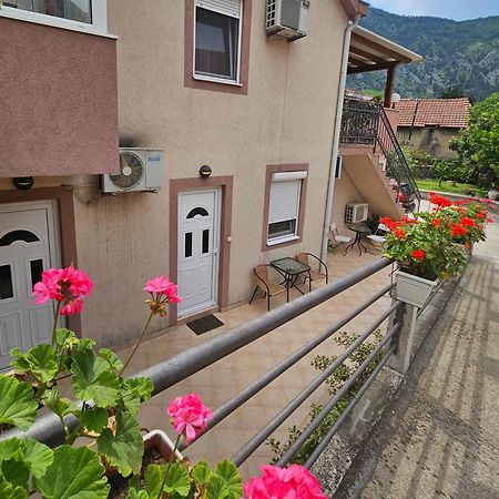 Apartment Aleksandar Kotor Zewnętrze zdjęcie