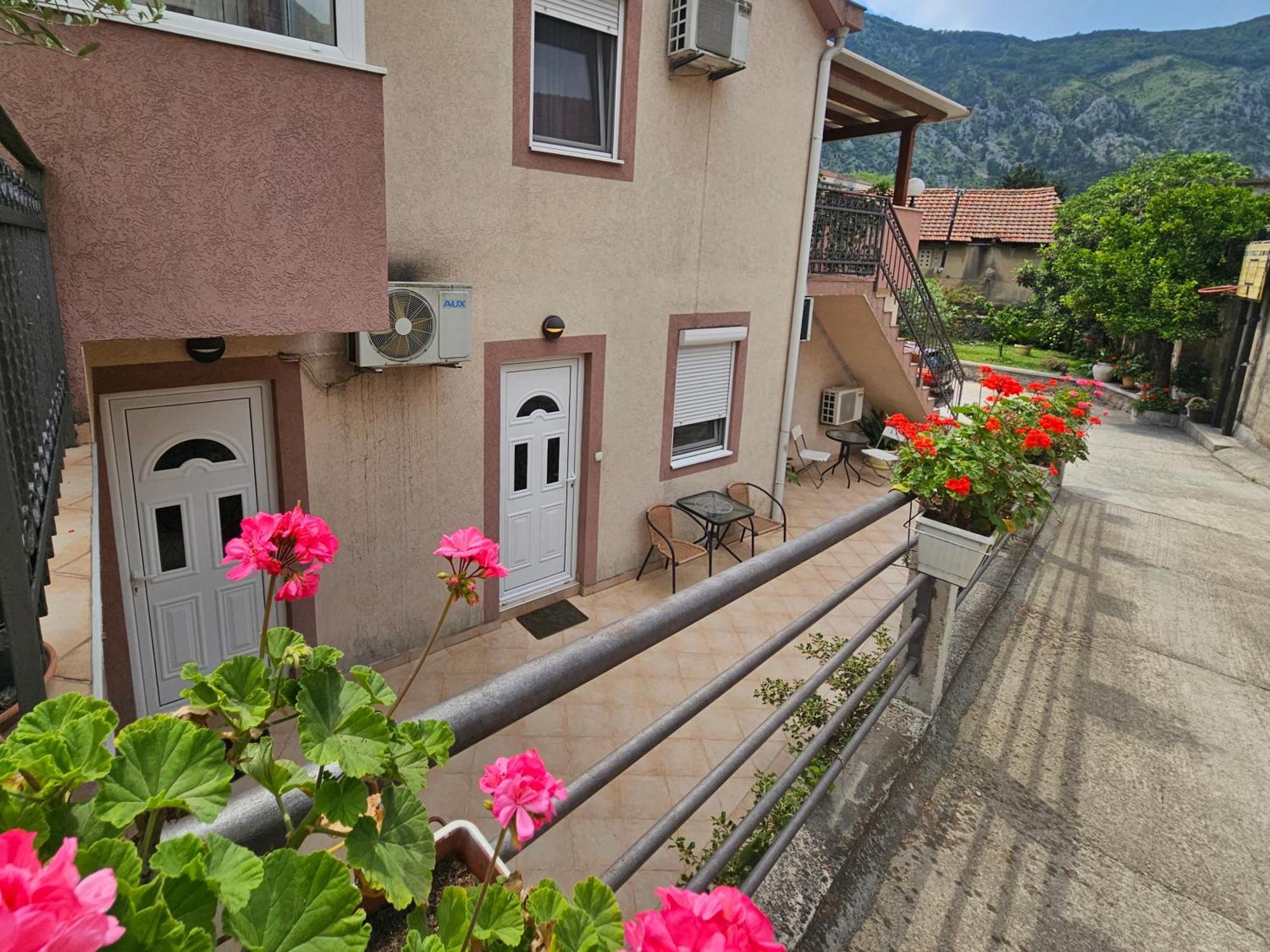 Apartment Aleksandar Kotor Zewnętrze zdjęcie